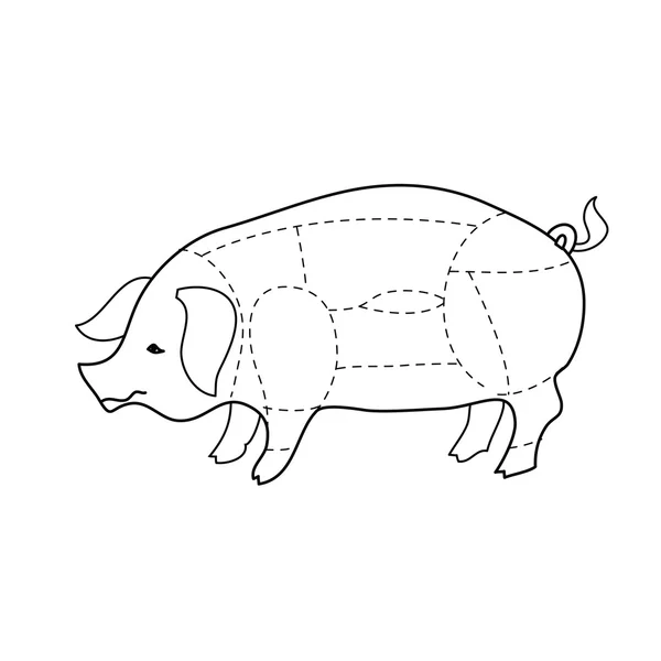 Düzeni-domuz-gövdeler — Stok Vektör