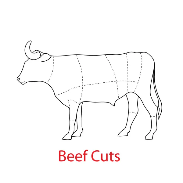 Beef-cuts — Stock Vector
