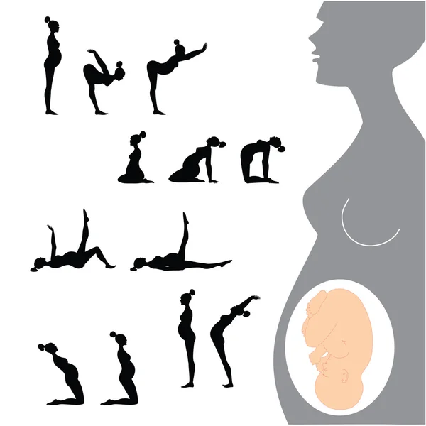 Gimnasia para mujeres embarazadas — Vector de stock