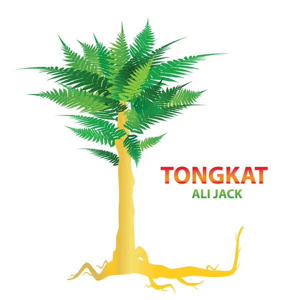 Tongkat-ali-jack — Stock Vector