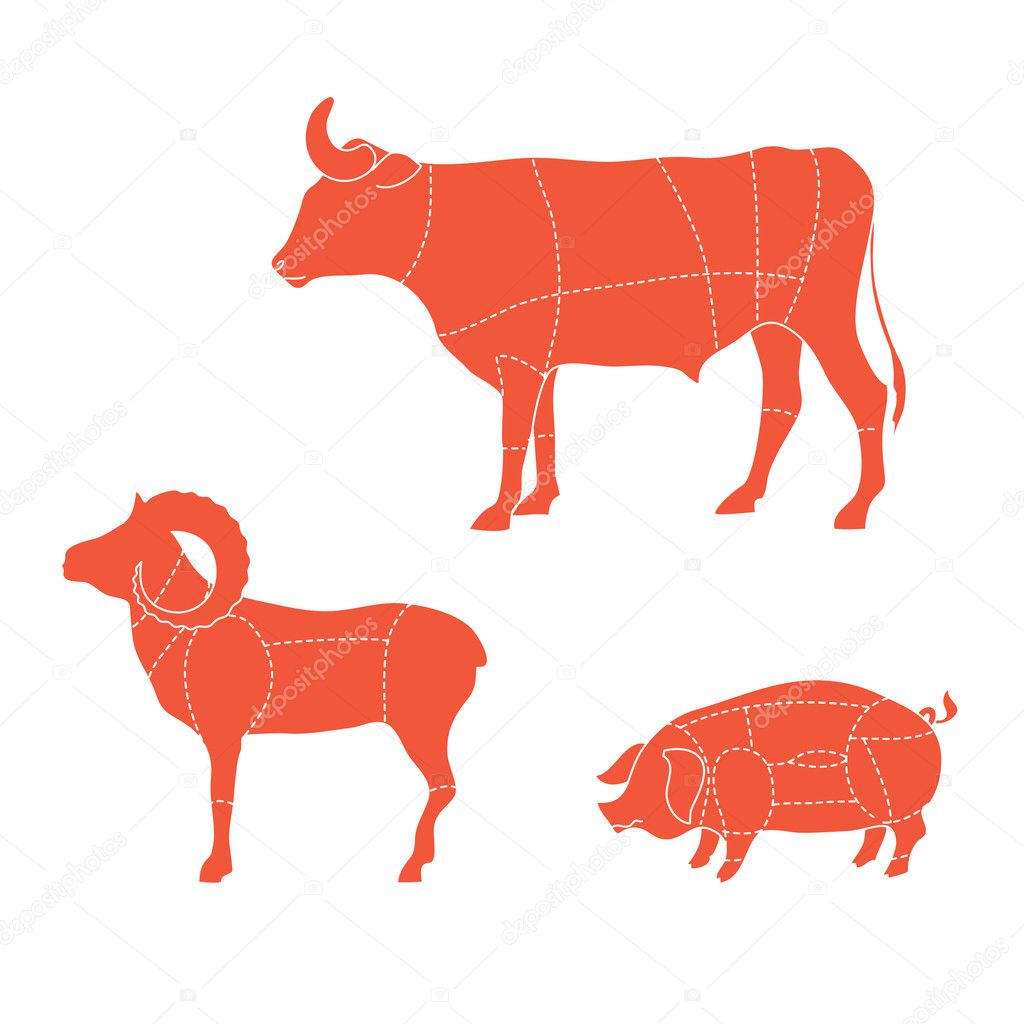 Cuts-cow-mutton-pig