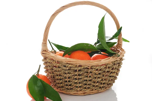 stock image Basket