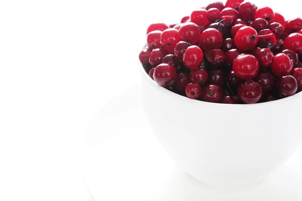 Copo Branco Cheio Cranberries Vermelhas Parte Direita — Fotografia de Stock