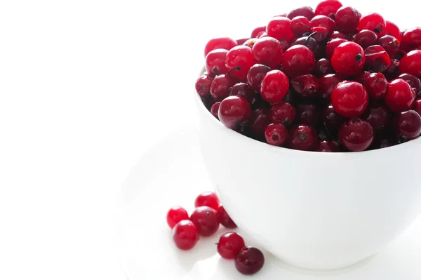 Cranberries Uma Xícara Branca — Fotografia de Stock