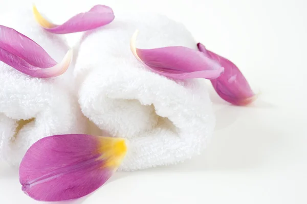 Purpul 花瓣在白色背景上的白毛巾 — 图库照片