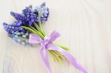 Muscari bouquet clipart