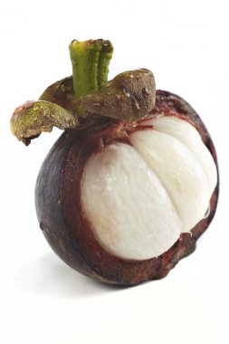 Mangosteen