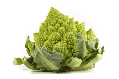 Roman broccoli clipart