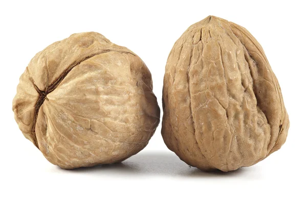 Stock image Walnut on white background