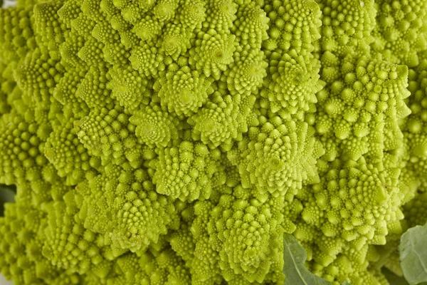 Brócolos romanos — Fotografia de Stock