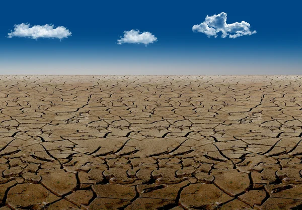 Tierra seca en el desierto —  Fotos de Stock