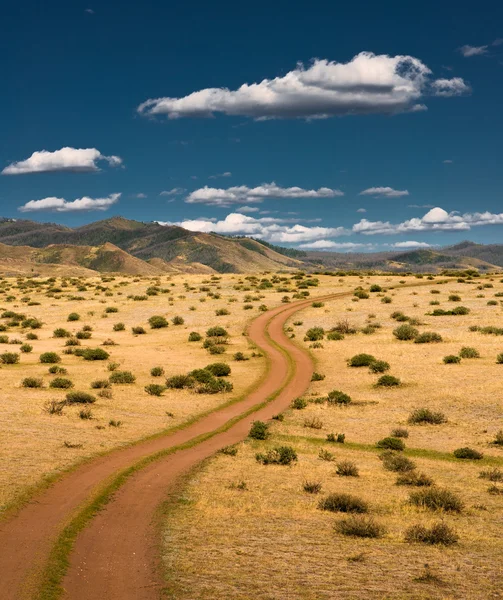 stock image Field road