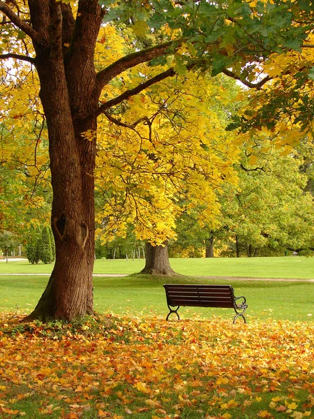 Park miejski jesienią — Zdjęcie stockowe