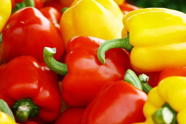 stock image Colorful pepper background