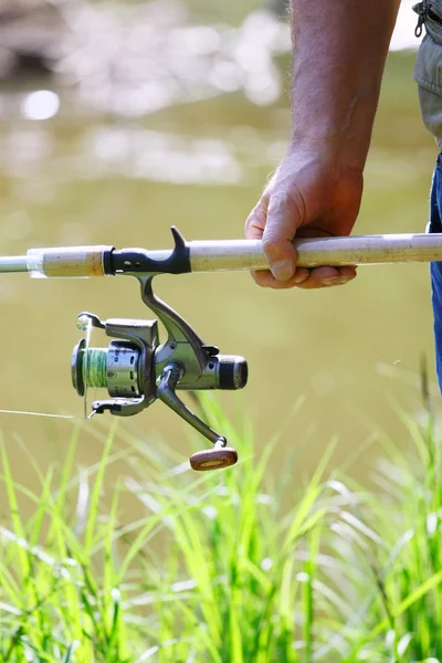 stock image Fishing