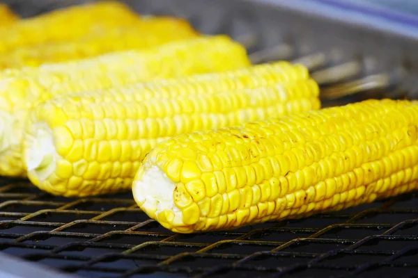 stock image Grilled Corn