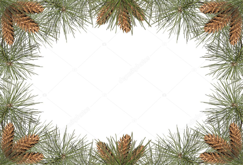 Pine Frame