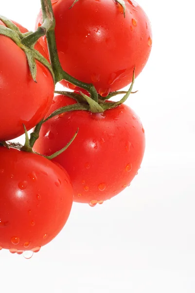 有趣的西红柿 — 图库照片