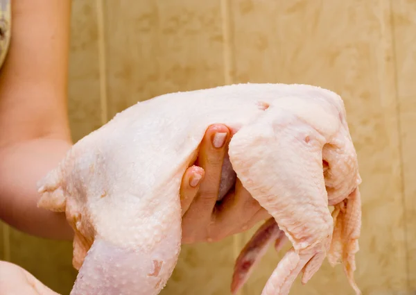 Mujer sosteniendo un pollo —  Fotos de Stock