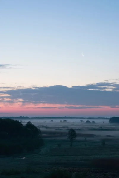 stock image Morning scenery