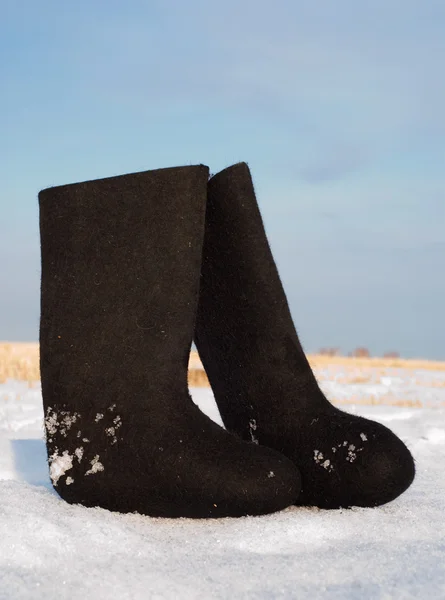 stock image Felt boots