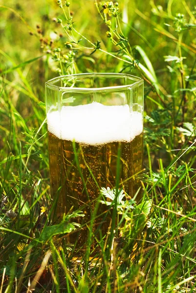 晴れた日に草のビールのグラス — ストック写真