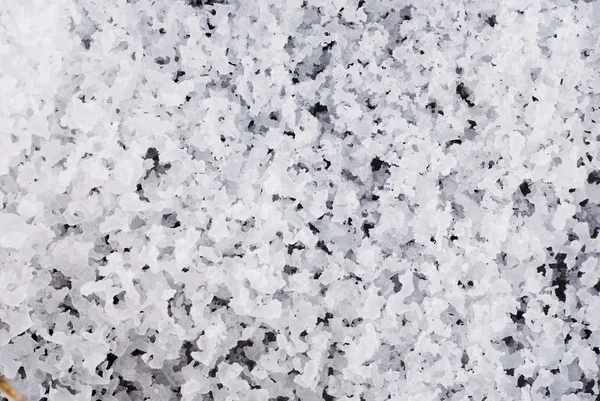 Spring Snow Texture Background — Stock Photo, Image