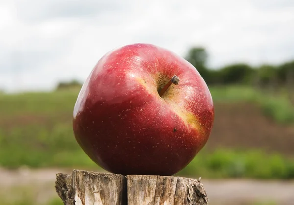 Manzana en una columna — Foto de Stock