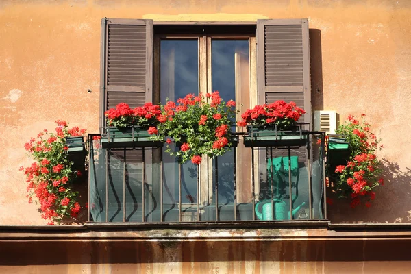 Okno kwiaty — Zdjęcie stockowe