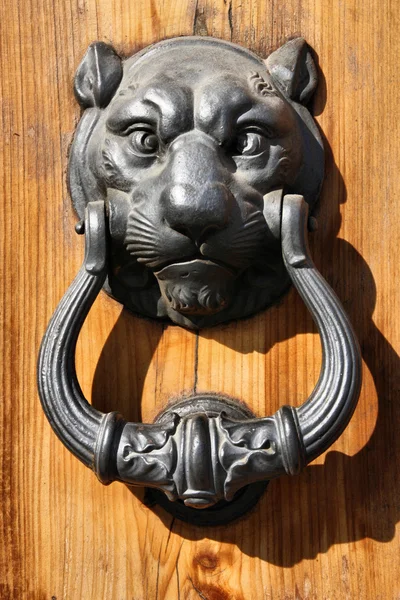 Dekoracyjne drzwi Kołatka — Zdjęcie stockowe