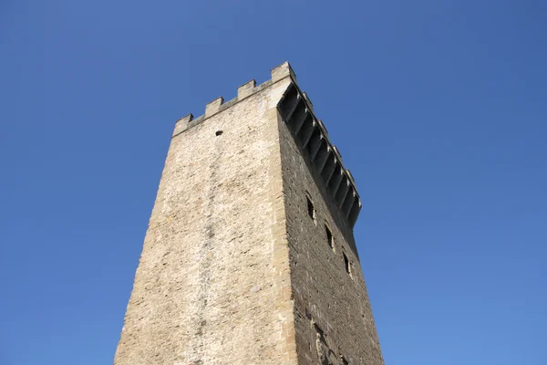 中世纪塔 — 图库照片