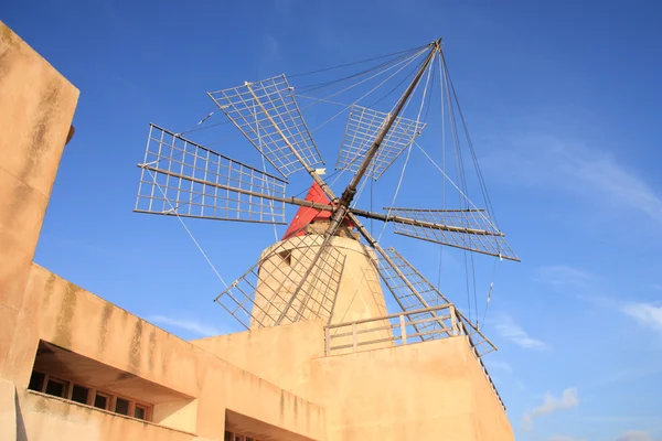 Windmill Lama — Stok Foto