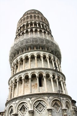 Pisa.