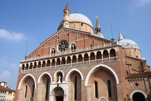 Padua — Stok fotoğraf