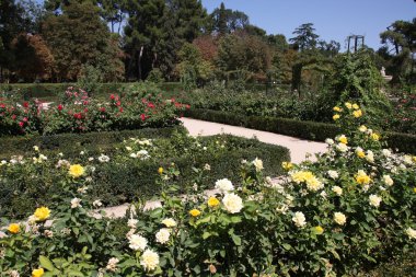 Madrid botanical gardens clipart