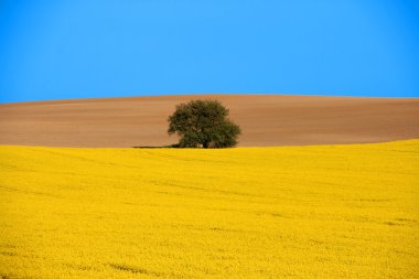 kırsal manzara manzara