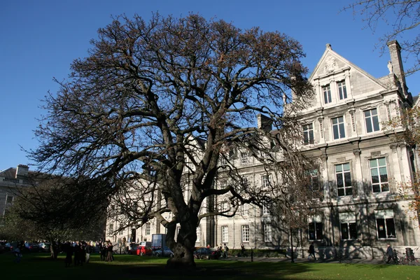 Trinity College — Stockfoto