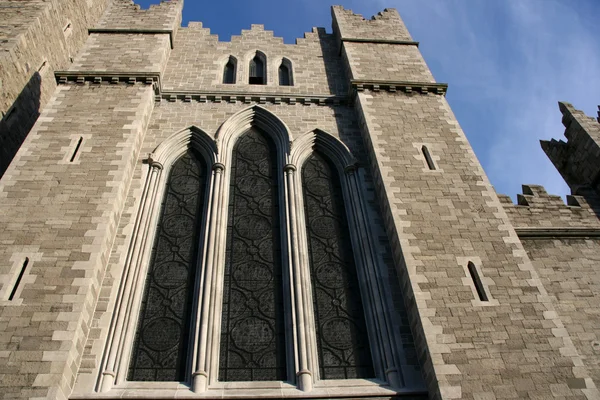Catedral de dublin — Foto de Stock