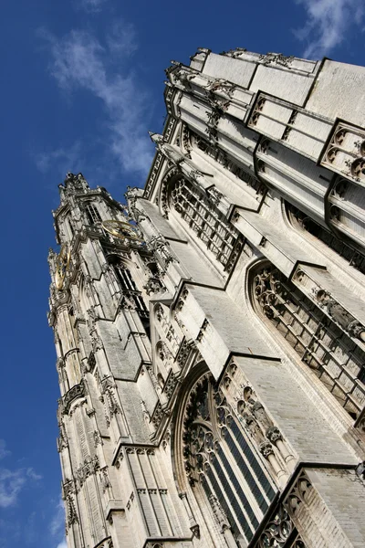 Антверпен собор — стокове фото