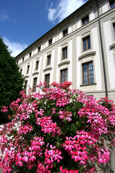 stock image Prague castle