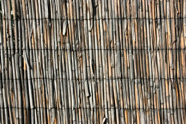 Bamboe textuur — Stockfoto