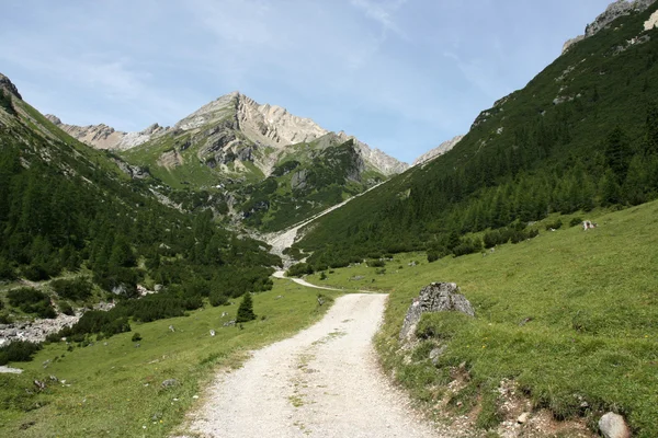 Vallée alpine — Photo