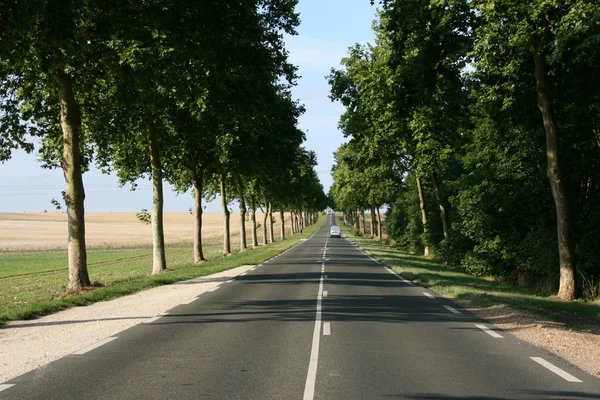 stock image Straight road