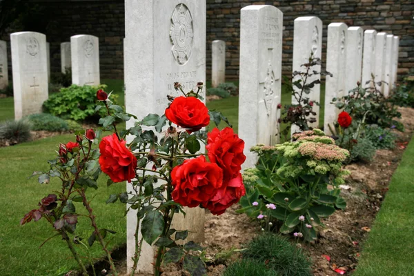 stock image War cemetery