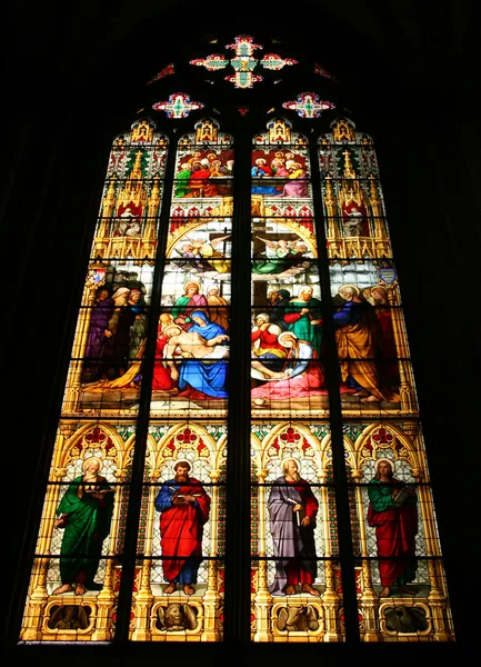 ケルン大聖堂 — ストック写真