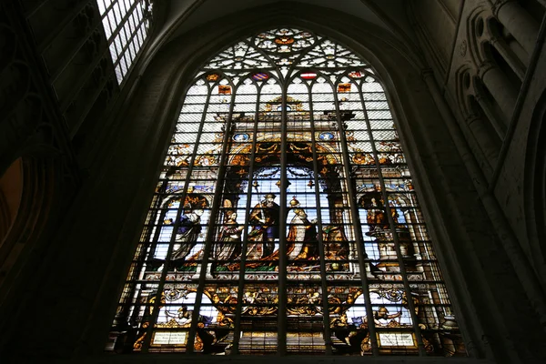 Katedra w Brukseli — Zdjęcie stockowe