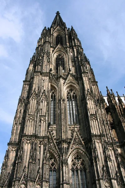 Köln — Stock Fotó