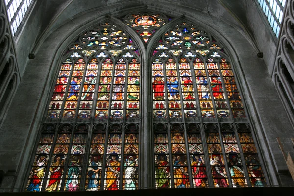 Cathédrale de Bruges — Photo
