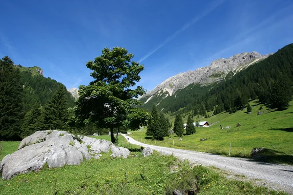 Tirol — Fotografia de Stock