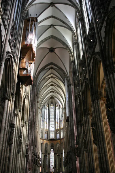 Cologne cathedral — Stock Photo, Image